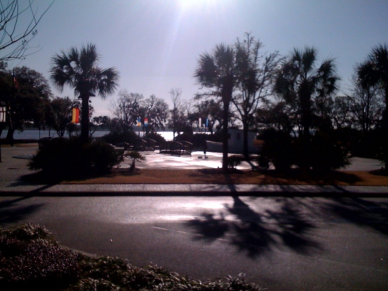 morningphoto