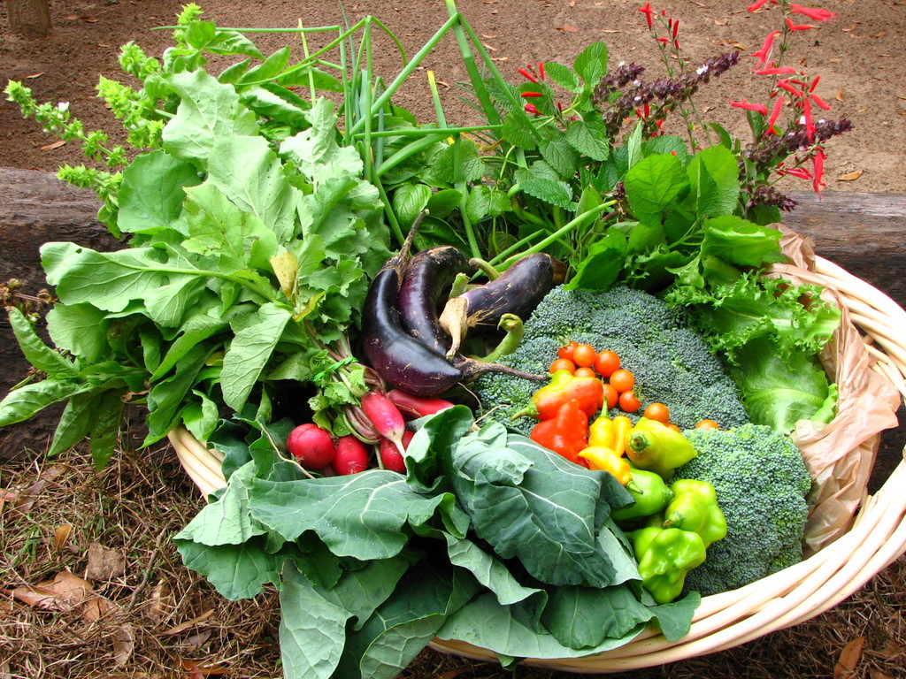 farmers-market