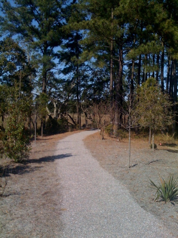 Path