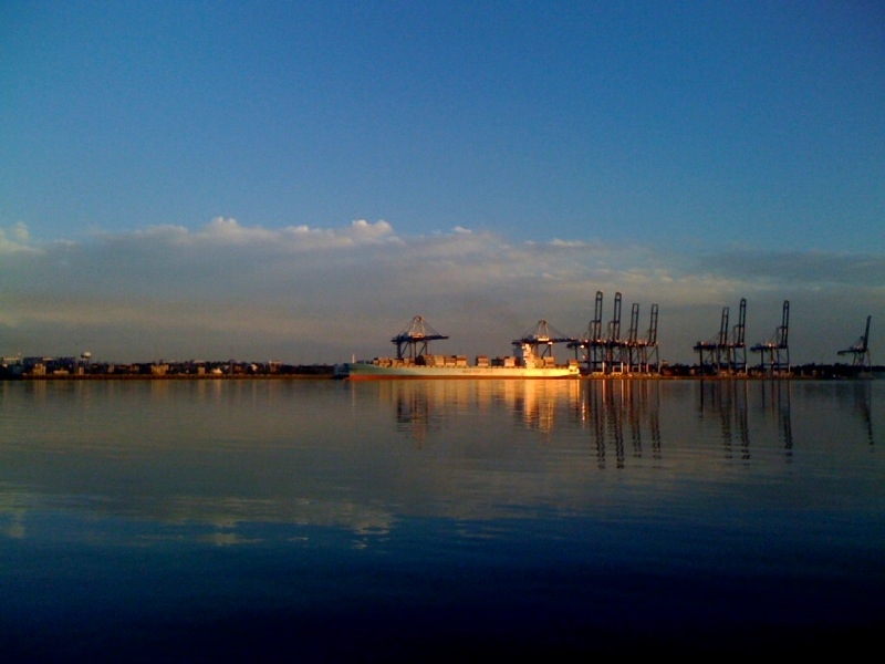Port Sunset