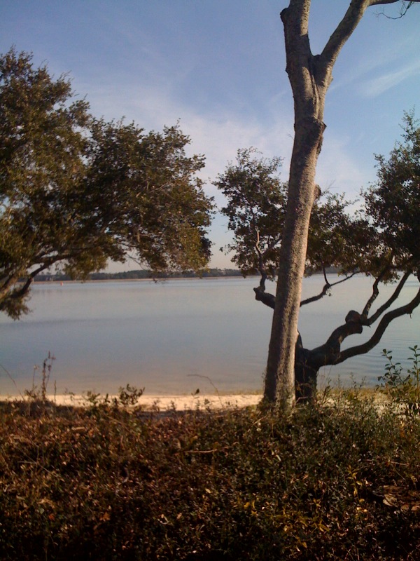 photo4