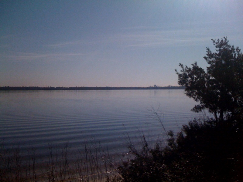 photo5