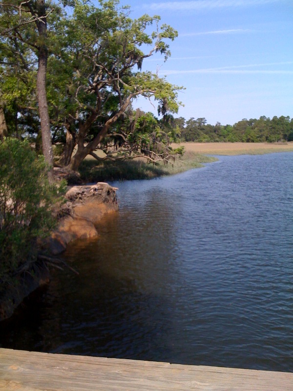 Bellinger Island Missing Swing