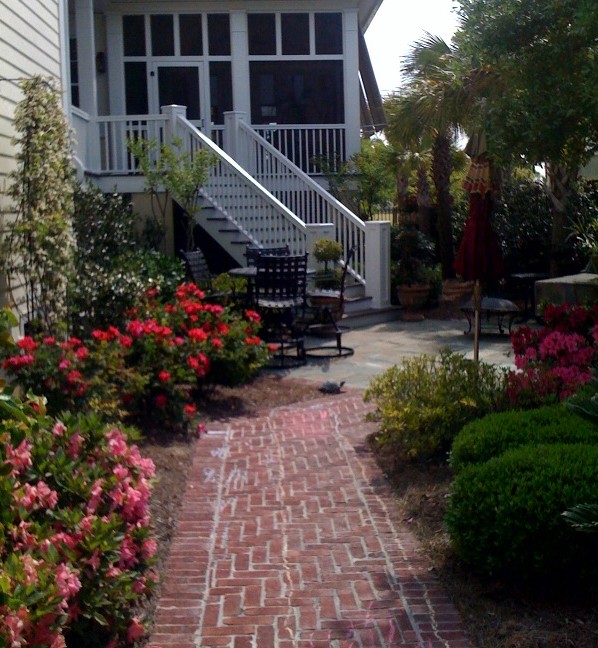 Our garden
