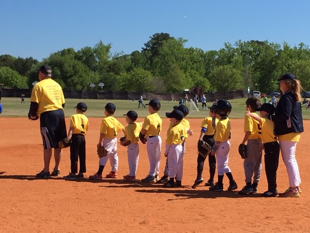 Daniel Island Youth Baseball