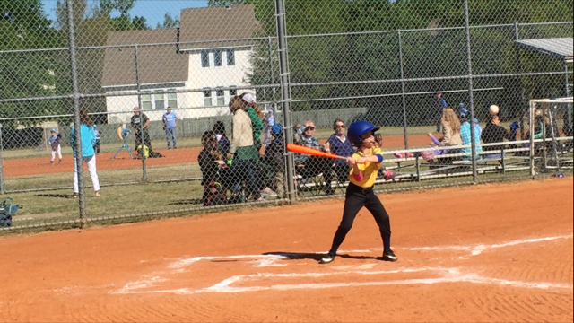 Daniel Island Youth Baseball