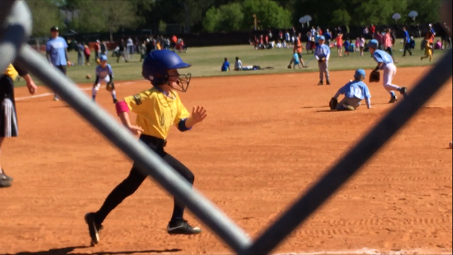 Daniel Island Youth Baseball